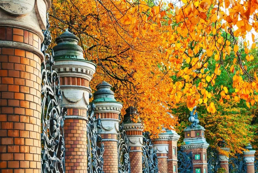 развлечения для взрослых спб