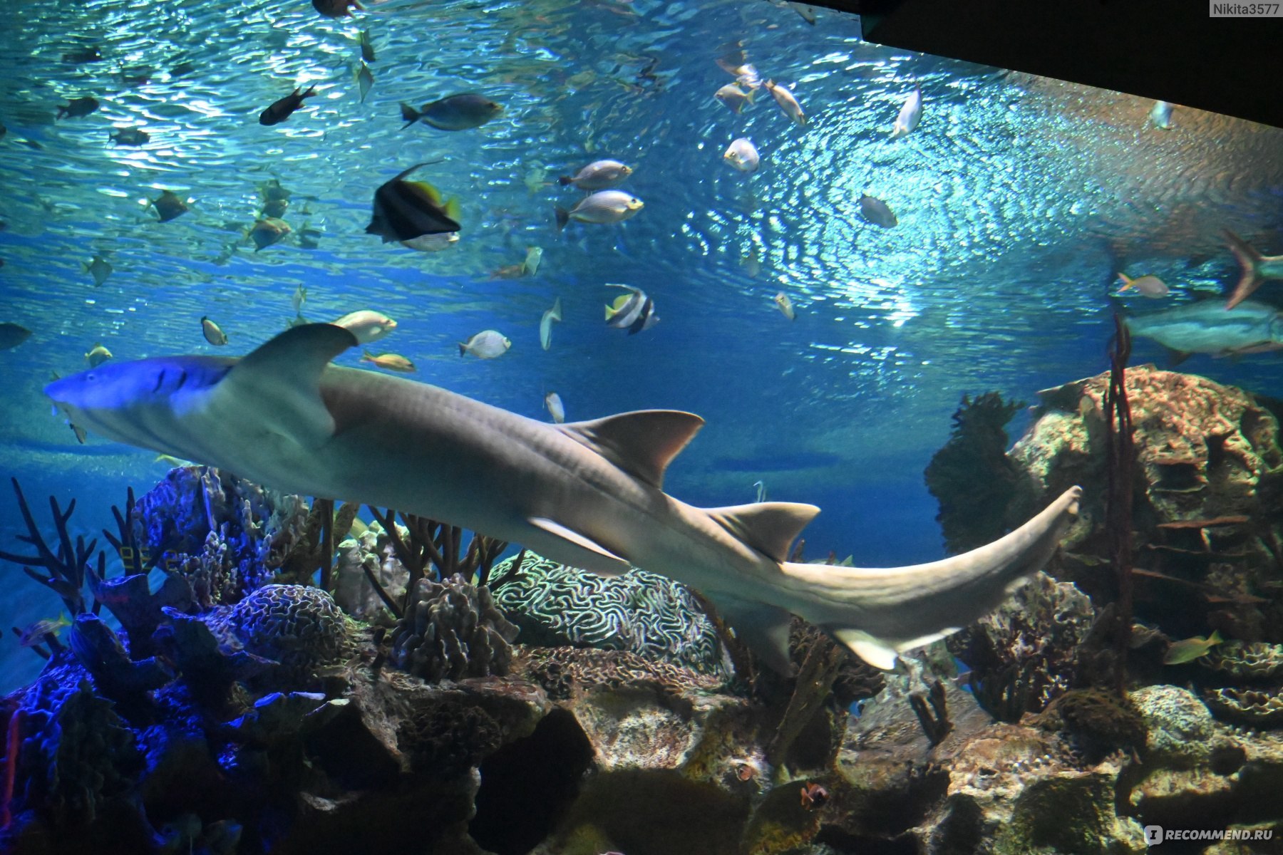 где отметить день рождения ребенка спб недорого