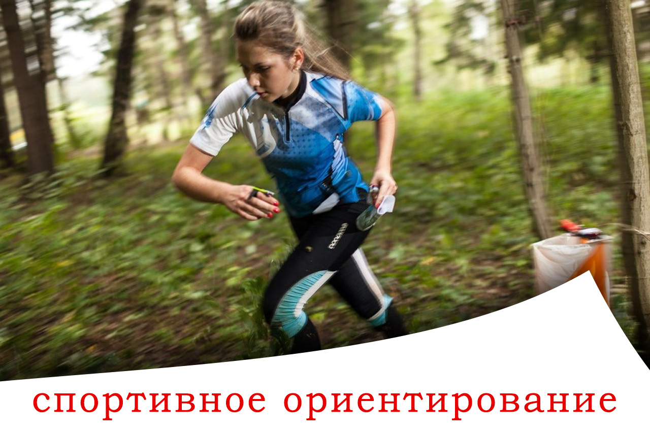 Организация тимбилдинга СПб