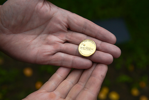 выездные мастер классы в спб для взрослых